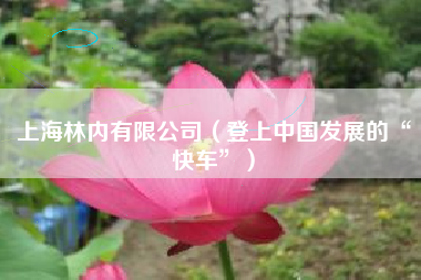 上海林内有限公司（登上中国发展的“快车”）