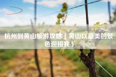 杭州到黄山旅游攻略（黄山以最美的景色迎接我）