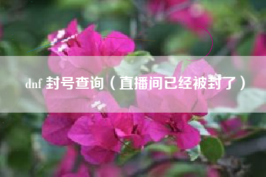 dnf 封号查询（直播间已经被封了）