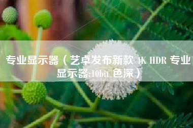 专业显示器（艺卓发布新款 4K HDR 专业显示器:10bit 色深）
