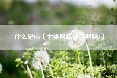 什么是ftp（七类网线你了解吗?）