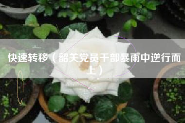 快速转移（韶关党员干部暴雨中逆行而上）