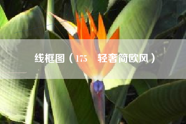 线框图(175㎡轻奢简欧风)