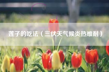 莲子的吃法（三伏天气候炎热难耐）