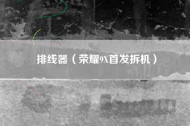 排线器（荣耀9X首发拆机）