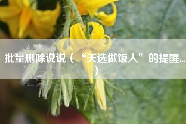 批量删除说说(“天选做饭人”的提醒...)