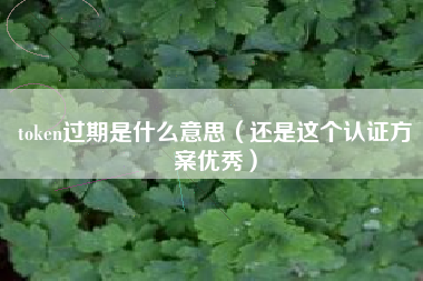 token过期是什么意思（还是这个认证方案优秀）