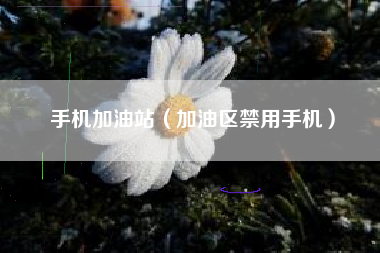 手机加油站（加油区禁用手机）