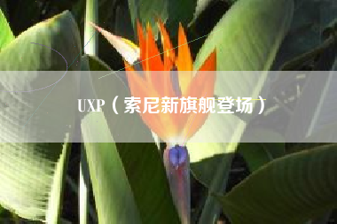 UXP(索尼新旗舰登场)