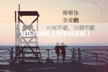 健伍对讲机（数字对讲机）