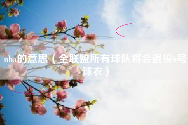 nba的意思(全联盟所有球队将会退役6号球衣)