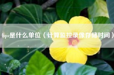 bps是什么单位（计算监控录像存储时间）