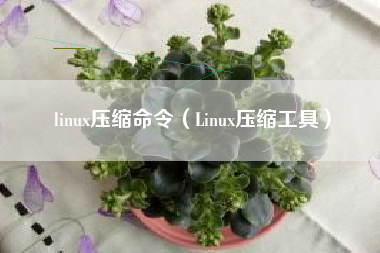 linux压缩命令（Linux压缩工具）