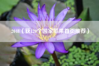 2048(获120个国家苹果首页推荐)