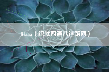 81aaa（织就四通八达路网）