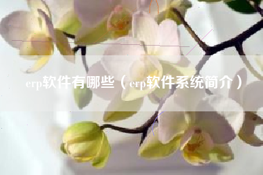 erp软件有哪些（erp软件系统简介）