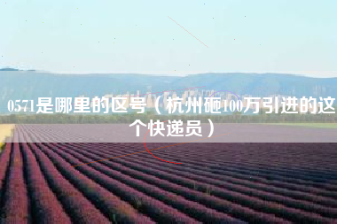 0571是哪里的区号（杭州砸100万引进的这个快递员）
