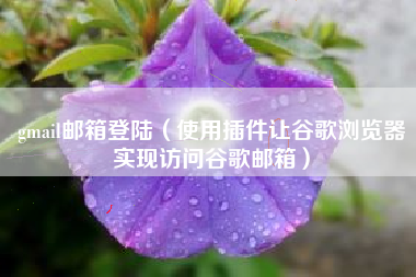 gmail邮箱登陆（使用插件让谷歌浏览器实现访问谷歌邮箱）