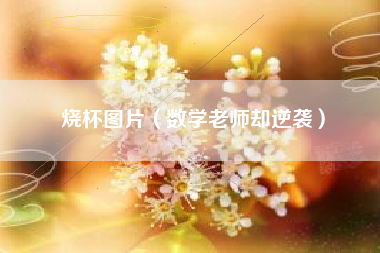 烧杯图片(数学老师却逆袭)