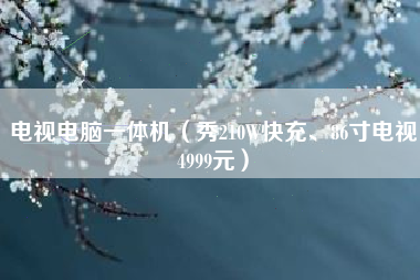 电视电脑一体机（秀210W快充、86寸电视4999元）