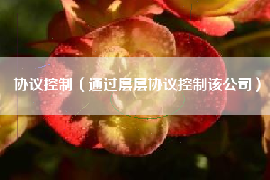 协议控制（通过层层协议控制该公司）