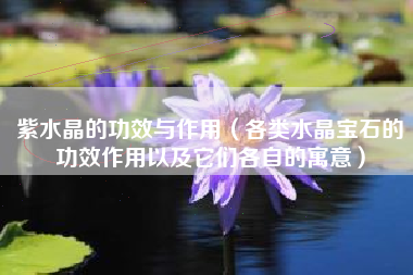紫水晶的功效与作用（各类水晶宝石的功效作用以及它们各自的寓意）