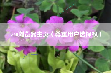 360浏览器主页（尊重用户选择权）