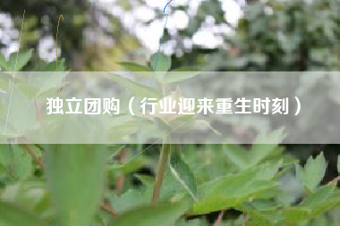 独立团购（行业迎来重生时刻）