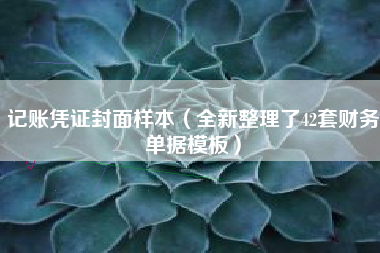 记账凭证封面样本（全新整理了42套财务单据模板）