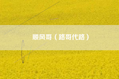 顺风哥（路哥代路）