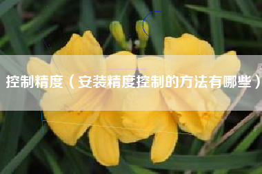 控制精度（安装精度控制的方法有哪些）