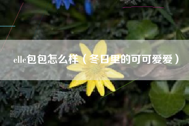 elle包包怎么样（冬日里的可可爱爱）