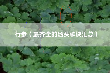 行参（最齐全的汤头歌诀汇总）