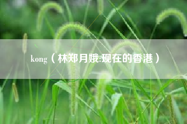 kong(林郑月娥:现在的香港)