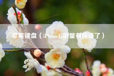 详细阅读:苹果键盘(iPhone15销量有保证了) 苹果键盘(iPhone15销量有保证了)