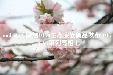 unibody(联想YOGA生态家族新品发布 YOGA Air系列亮相)