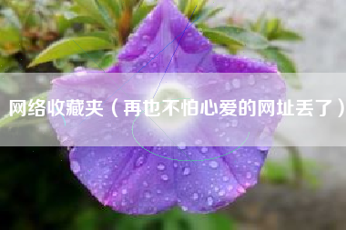 网络收藏夹（再也不怕心爱的网址丢了）