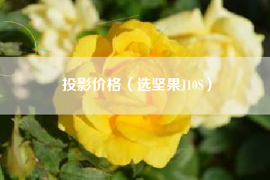 投影价格(选坚果J10S)
