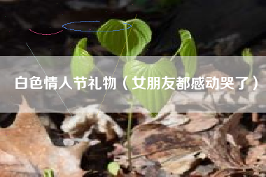 白色情人节礼物（女朋友都感动哭了）