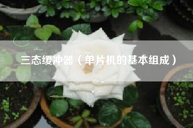 三态缓冲器（单片机的基本组成）