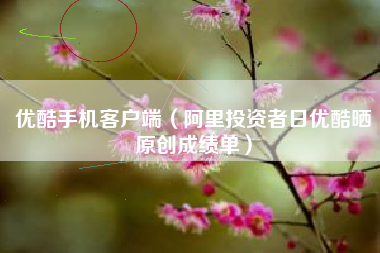 优酷手机客户端(阿里投资者日优酷晒原创成绩单)