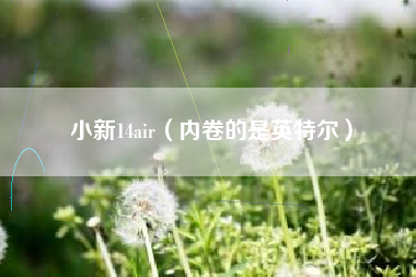 小新14air（内卷的是英特尔）