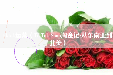 tiktok运营（TikTok Shop淘金记:从东南亚到北美）