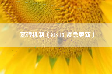 墓碑机制（iOS 13 紧急更新）