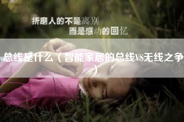 总线是什么（智能家居的总线VS无线之争）
