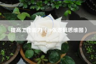 提高工作能力（10张逻辑思维图）