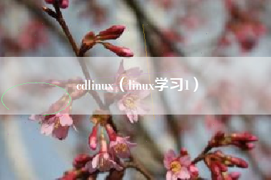 cdlinux（linux学习1）