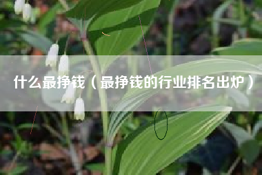 什么最挣钱（最挣钱的行业排名出炉）