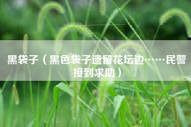 黑袋子（黑色袋子遗留花坛边……民警接到求助）
