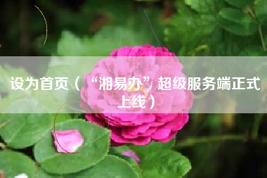 设为首页(“湘易办”超级服务端正式上线)